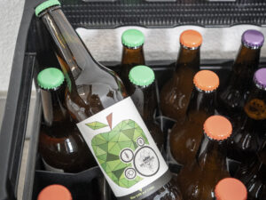 Herbst-Workshop 2024